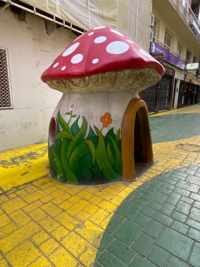 Guest House Del Sol 阿利坎特 外观 照片