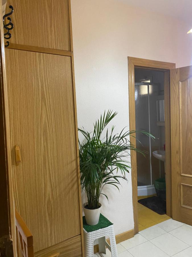 Guest House Del Sol 阿利坎特 外观 照片